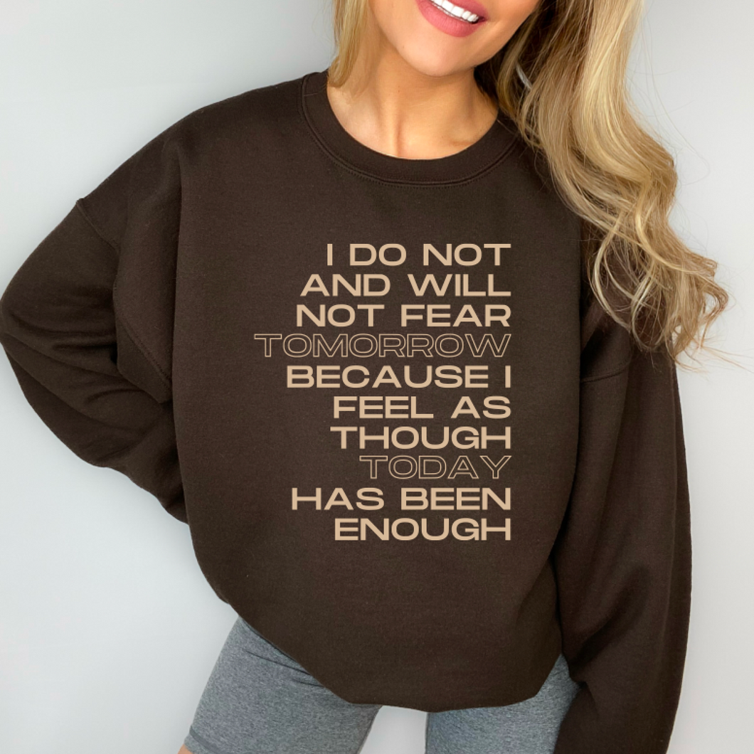 Fear & Fridays Brown Shirt Or Sweatshirt