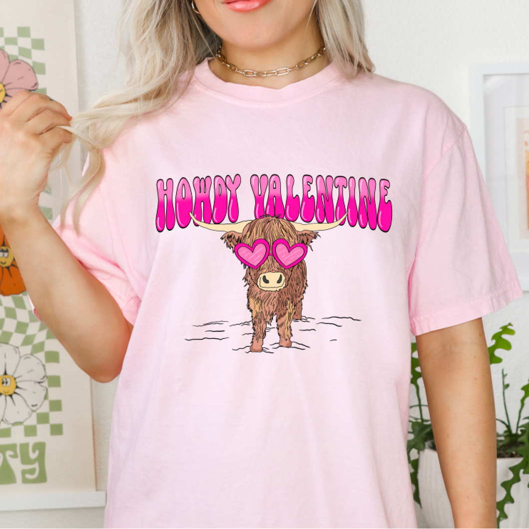 Howdy Valentine Highland Cow Shirt Or Sweatshirt